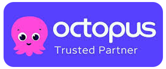 Octopus Energy Trusted Partner 2025 logo for solar panel installation services